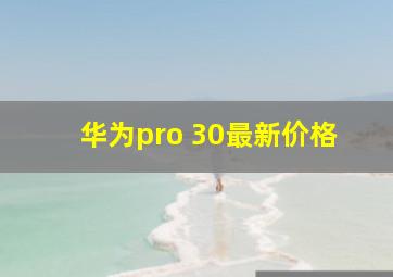 华为pro 30最新价格